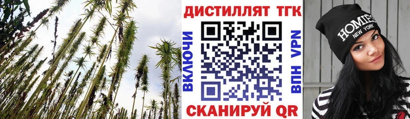 Дистиллят ТГК гашишное масло  продажа наркотиков  Курганинск 