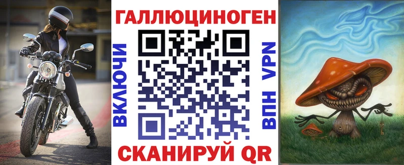 дарк нет наркотические препараты Курганинск Галлюциногенные грибы GOLDEN TEACHER где купить